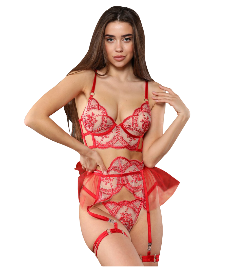 Sexy Lingerie With Red Lace...